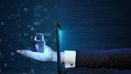 cyber seguridad